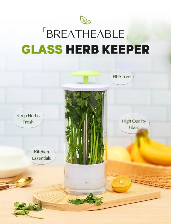 glass herb keeper storage container saver1