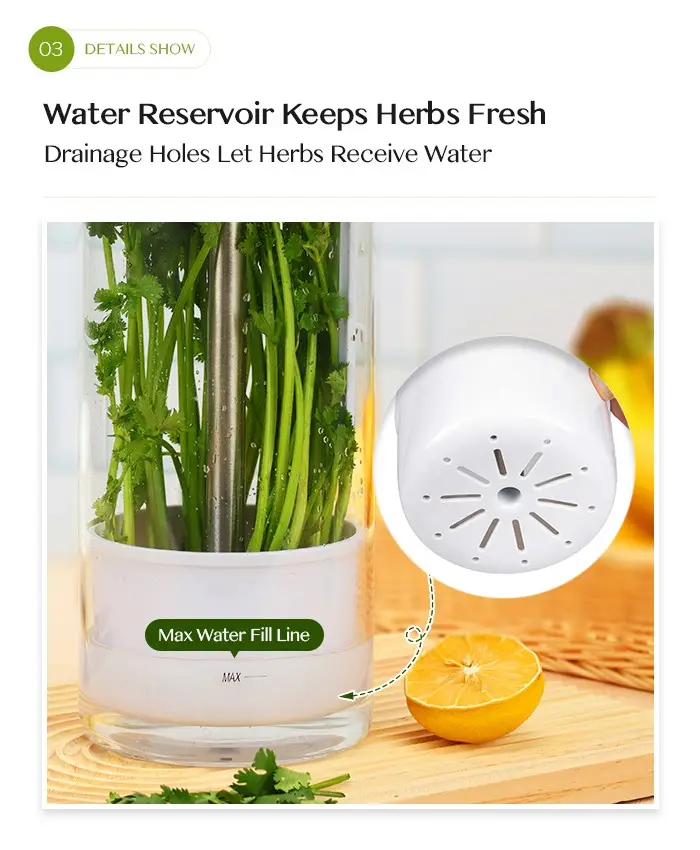 glass herb keeper storage container saver4